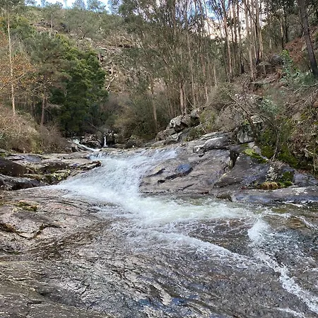 Hegodei
